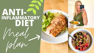 ANTIINFLAMMATORY DIET SUMMER MEAL PLAN amp PDF Guide [upl. by Culberson]