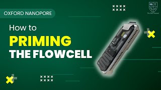 NANOPORE MINION  HOW TO PRIMING THE FLOW CELL [upl. by Noyr768]