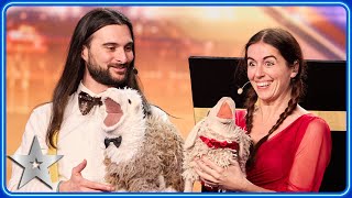 Ventriloquists Daniele amp Naimana sing OPERA with SHEEP  Auditions  BGT 2024 [upl. by Neimad770]