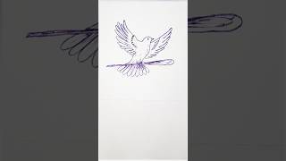 Columbidae bird short shorts birds art ashortaday sketch easketch77 [upl. by Worsham]