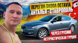 Перегон Skoda Octavia из Анталии в Ставрополь через Грузию Нетуристическая Турция [upl. by Scharff469]