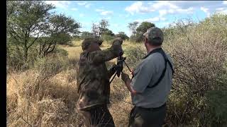 Eland hunt Africa Namibia [upl. by Mich528]