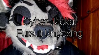 Canine Fursuit Unboxing  ZeoHyena [upl. by Yesnek]