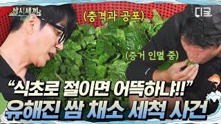 삼시세끼Light 쌈 채소로 빨래ㅋㅋ하다가 차승원한테 또 혼난 유해진😅 쌈 채소 초절임을 만들어버리다…⭐ [upl. by Leahey487]