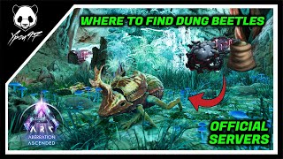 Where To Find DUNG BEETLES In ABERRATION  ARK Survival Ascended [upl. by Maximilian]