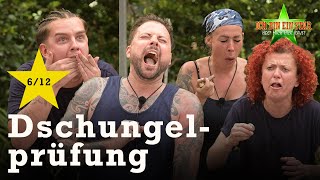 WÜRGALARM bei der Dschungelprüfung quotWürg amp Travelquot ⭐️  Dschungelcamp 2024 [upl. by Ydnik]