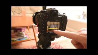 Nikon D500 AF Calibration tutorial [upl. by Addison]