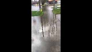 Flood in Centralia WA Jan 7 2022 [upl. by Gerik793]