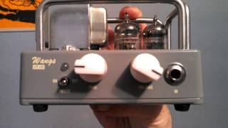 Wangs amplifier VT1 first look [upl. by Ennis799]