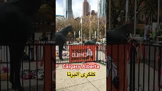 Calgary  Edmonton  Alberta  Canada 🇨🇦  همه چیز در مورد کانادا [upl. by Hendon]