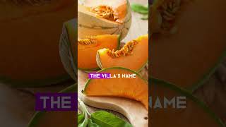 The cantaloupe is named after Cantalupo an Italian papal villa [upl. by Anirtik]