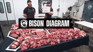 A Visual Guide to the Cuts of Bison Where Every Cut of Buffalo Comes From  By The Bearded Butchers [upl. by Saxon]