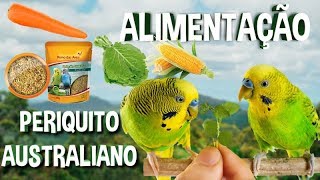 Alimentação ideal para periquito australiano [upl. by June84]