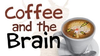 How Coffee Affects Your Brain [upl. by Iggam]