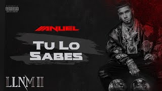 Anuel AA  Tu Lo Sabes Visualizer Oficial  LLNM2 [upl. by Wanyen]