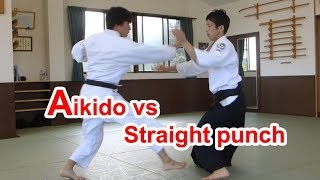 Aikido vs Straight punch（Possibility of Aikido） [upl. by Fleur]