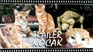 Trailer Kocak  Kocheng Orenz [upl. by Shurlock373]