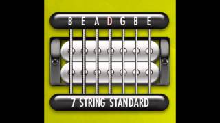 Perfect Guitar Tuner 7 String Standard  B E A D G B E [upl. by Emile177]