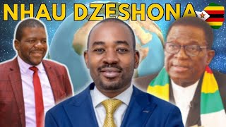 Budget yaVaMthuli Ncube Yokonzera Mutauro Munyika [upl. by Arraeis84]