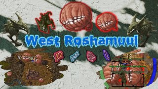 RP 500 West Roshamuul [upl. by Levi]