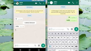 How to Read WhatsApp Messages without Blue Tick Marks [upl. by Eupheemia]