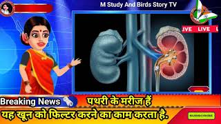 🥺किडनी स्टोन समस्या पढ़ सकती ये 🤔3 चीज खाने से बचे जादे 😁Causes Kidney Stones facts shorts scince [upl. by Aicenaj558]