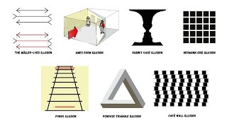 Every Optical Illusion Explained in Less Than 5 Minutes [upl. by Nemajneb32]