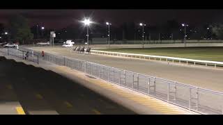 Mildura Harness Racing Club 8 Aug 2023 Trial 2 [upl. by Heddi]