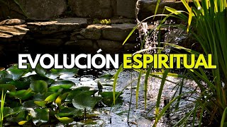 🌎Brian Weiss y la Reencarnación 📖Evolución Espiritual [upl. by Prady]