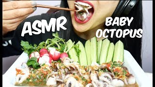 ASMR WHOLE BABY OCTOPUS EATING SOUNDS NO TALKING  SASASMR [upl. by Reeher149]