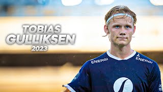 Tobias Gulliksen  Technical Winger  2023ᴴᴰ [upl. by Eceinart]