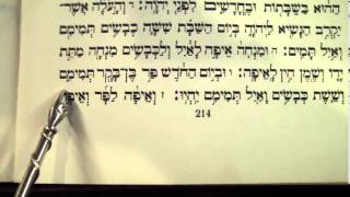 Haftorah Haftarah Parsha Hachodesh Rabbi Weisblum קריאת הפטרה שבת החודש [upl. by Nostaw]