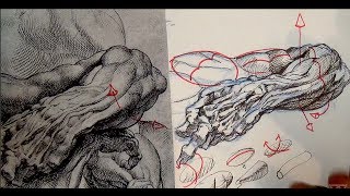 Pen and Ink Drawing Tutorials  Crosshatching and shading tips from Peter Paul Rubens [upl. by Leva79]