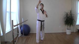 TaeKwonDo Spinning Hook Kick Tutorial Spin Kick [upl. by Atilem]