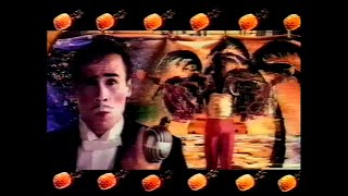 Hooly Doolys  Australian TV ADCommercial 1988 [upl. by Reilamag]