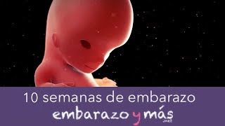 10 semanas de embarazo  Tercer mes  EMBARAZOYMAS [upl. by Bakerman]