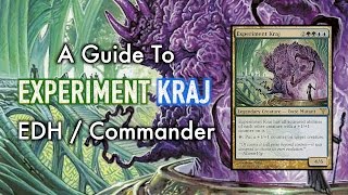 MTG  A Guide to Experiment Kraj Commander  EDH for Magic The Gathering [upl. by Leeland]