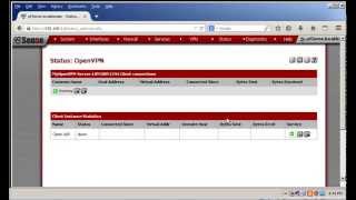Connecting To pfSensebased OpenVPN Server From a Windows Client [upl. by Yart570]