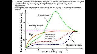 103 Growth pattern  4Allometric growth curve human organs [upl. by Ogawa]