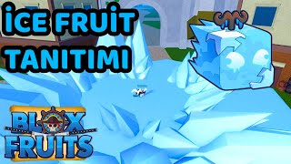 İCE MEYVESİ TANITIMI  ROBLOX BLOX FRUİT TÜRKÇE [upl. by Enivid526]