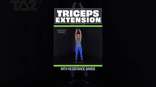 Resistance Band Training  Triceps Extension  TA2 Burn Program [upl. by Mcculloch]