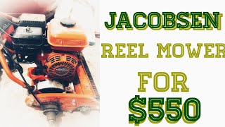 An old but new to me reel mower  JACOBSEN REEL MOWER [upl. by Eihs]