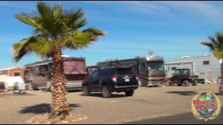 Mountain Quail Cafe and RV Park Quartzsite AZ [upl. by Sitruc]