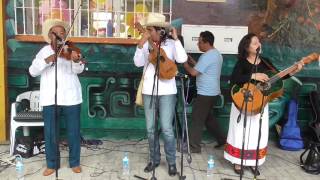 Altotonga Taller Tlacuilo Eloy Zúñiga 17 de mayo 2016 [upl. by Gnilrac]