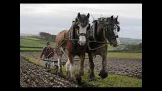 THE FURROWS END GARY ANDERSON [upl. by Hospers]