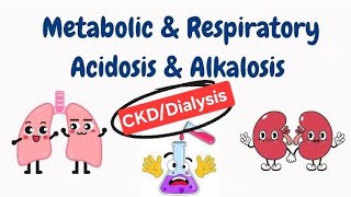 What is Acidosis Alkalosis Acid base balance in DialysisCkd patients metabolic acidosis [upl. by Tocs]