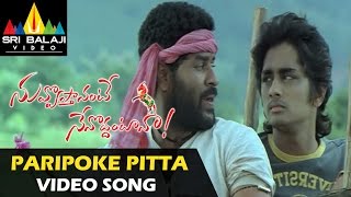 Nuvvostanante Nenoddantana Video Songs  Paripoke Pitta Video Song  Siddharth [upl. by Casar261]