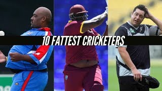 Top 10 Spinner Wickets  CWC11Rewind [upl. by Libbie]