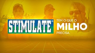 Descubra porque STIMULATE tem o que sua lavoura de MILHO precisa [upl. by Tonkin206]