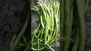 Healthy Green Beans Recipe shorts youtubeshorts trending shortvideo healthy food bean recipe [upl. by Elon]